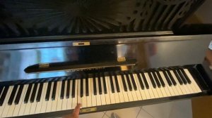 ПЕРВЫЙ РАЗ в Котокафе Котиссимо Москва