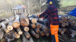 Stihl MS 241 chainsaw