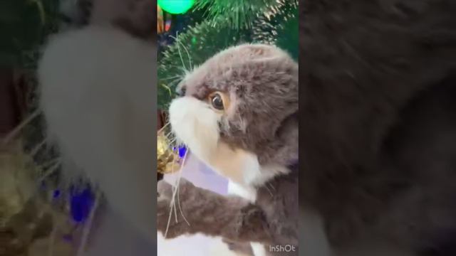 Otter baby Plush Toy Realistic otter/Realistic animal/Realistic animal toy/otter cub toy. смотреть онлайн