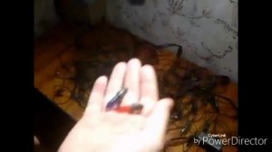 Ремонт ёлочной гирлянды сетки