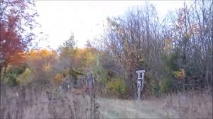 Гамма красок осенних деревьев в деревне Окатово!🌈🌳🍁🌲🍂