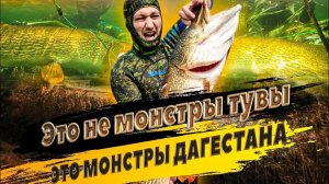 Это не КРОКОДИЛ а ТРОФЕЙНАЯ ЩУКА, взорвалась машина на охоте - Подводная охота | ДАГЕСТАН