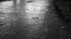 Нина Бродская  - Бублички