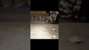 Мурад высылает Кёсем в старый дворец.