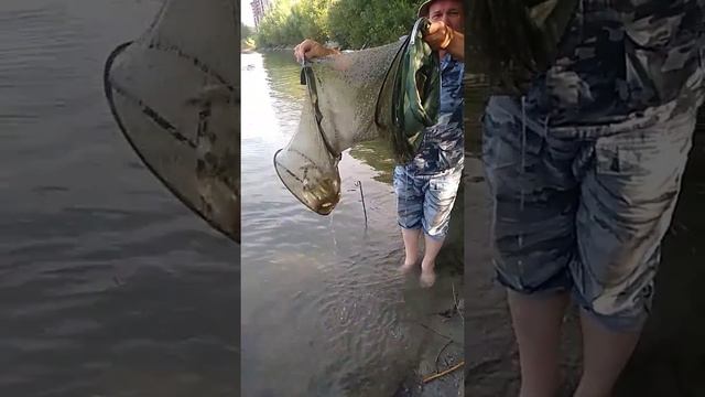 Котлован на Горском смотреть онлайн