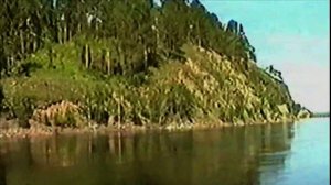 Ты неси меня река Зея