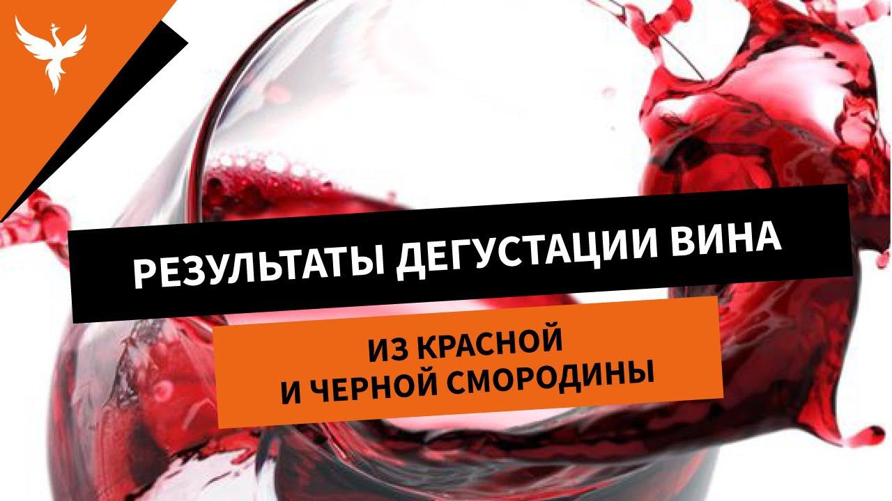 Результаты дегустации вина из красной и черной смородины