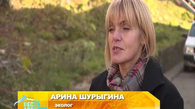 Во благо окружающей среде: Роспотребнадзор предложил найти альтернативу пластиковым пакетам смотреть онлайн