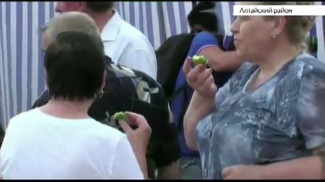 В селе Алтайское состоится праздник Малосольного огурца смотреть онлайн