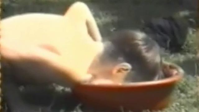 Веселая спортивная песенка