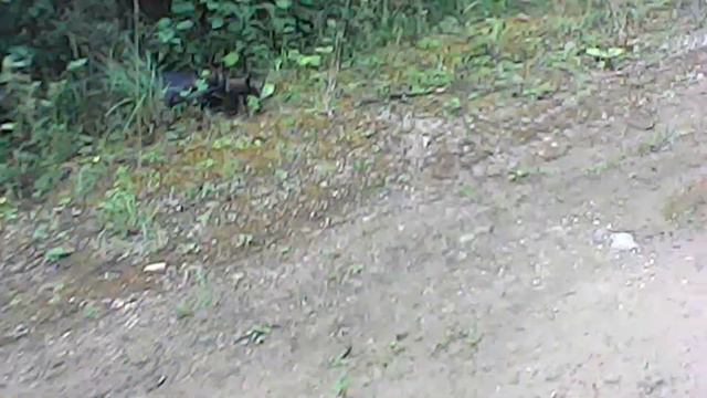 20 калибр,сезон 2017 видео обзор ,выход №-3;))) смотреть онлайн