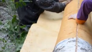 Югорская медведица научила девочку делать изделия из бересты