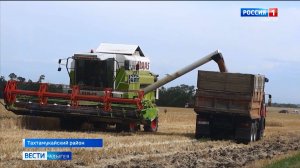 В республике продолжается уборка озимой пшеницы