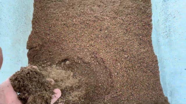 Подготовка стаканов к перевалке ТОМАТОВ смотреть онлайн