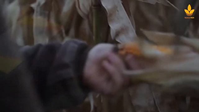 Как будет выглядеть ферма будущего – World of NAN смотреть онлайн