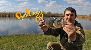 Крупный окунь с размером с Щуку! рыбалка на спиннинг весной