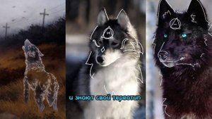 🍃КАК РАЗЛИЧАТЬ КВАДРОБЕРОВ И ТЕРИАНТРОПОВ? И ЧТО ТАКОЕ ТЕРЕОТИП?🍃 (Читайте описание)