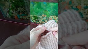 как сшить 2 тунисских полотна