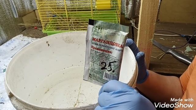 Георгины в Январе. Разбор после зимовки. Посадка на проращивание.