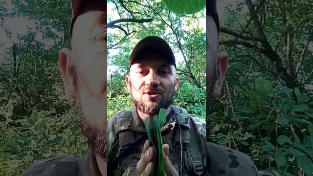 Господь: "Почуй Мій голос." #2 -  Назар Старжинський смотреть онлайн