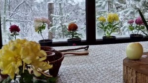 Хинкали из Курицы  Азербайджанская Кухня Деревенская Кухня Рецепты бабушки