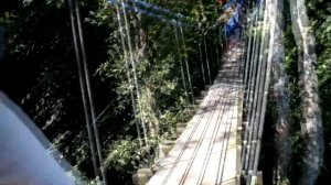 Полет Гиббона. Паттайя. Экскурсия