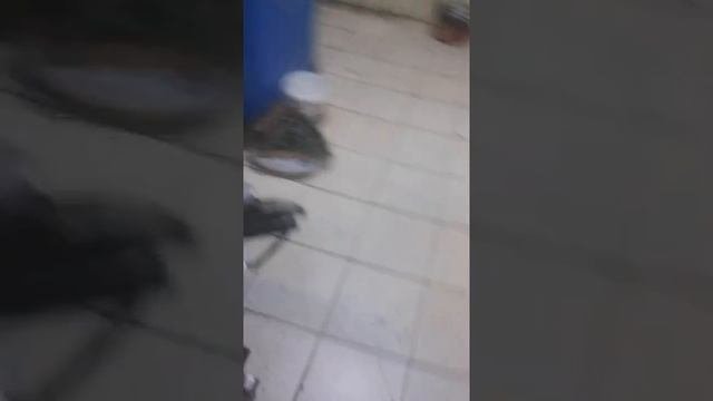 Что нужно для шиномонтажа от А до Я