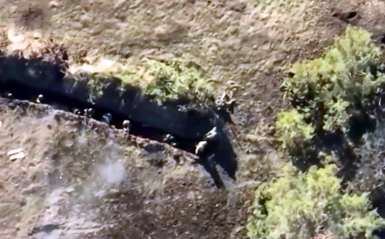 Штурмовой отряд ВСУ попал в ловушку: уникальные кадры / События на ТВЦ