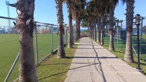 КАМЕЛИЯ АЙШЕН К. КЛУБ. 2023Г.