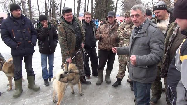 Выставка Лаек 27 03 2016 Уфа 010