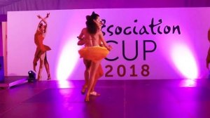 Евгений Хромов и Эллина Кипоренко Brasileiro Кубок Ассоциации 2018 / Association Cup 2018