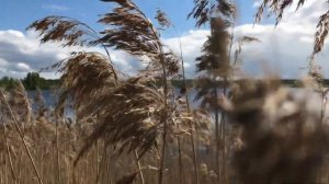 Заброшенные деревни Архангельской области. Кармозеро.