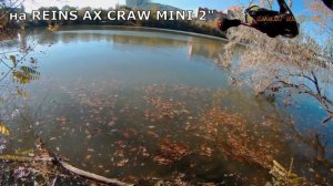 CRAZY FISH  Arion ASR6102S-L/оказывается бывают и лучше удилки!