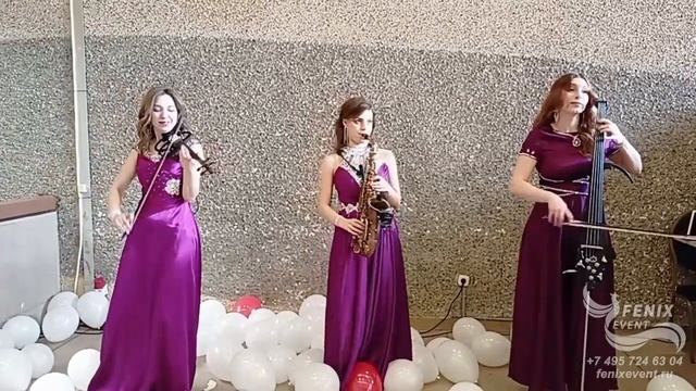 Струнный коллектив на встречу гостей заказать в Москве - лучшее акустическое трио на праздник