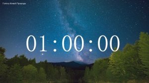 Обратный отсчет Таймер 2 часа. Звуки живой природы / Countdown. Timer 2 hours. #ГолосаЖивойПрироды