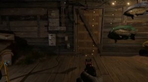 Far Cry New Dawn прохождение - Загадка Рыбака, тайник с рыбами, огонь, замок, гирлянды и скунсы