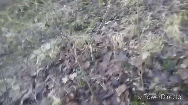 Проверка закидушек и проверка перамид смотреть онлайн