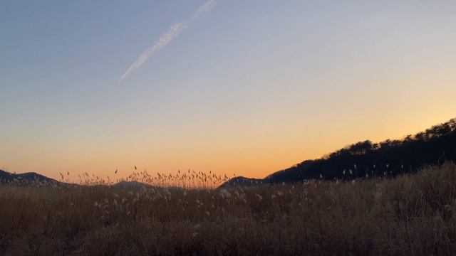 겨울 캠핑의 끝은 황금이다 / 낭만적인 미니멀차박 / 캠핑브이로그 / 노지차박 / 레이차박 / 내가 차박하는 이유