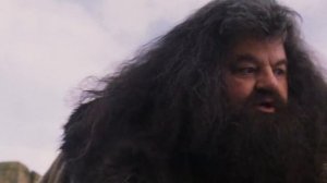 Гарри Поттер и Философский Камень за 90 секунд