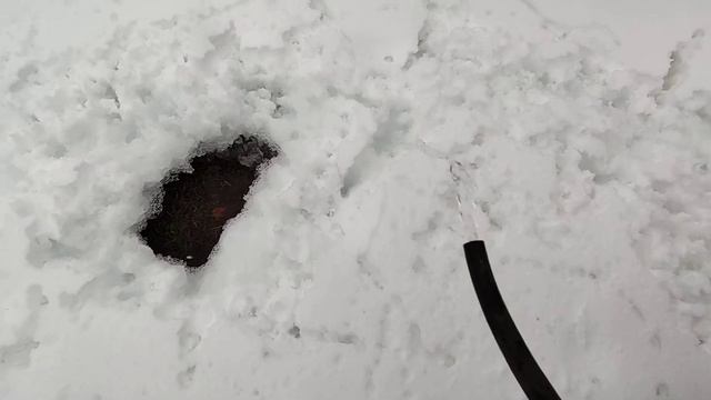 качаем воду из скважины мотопомпой смотреть онлайн