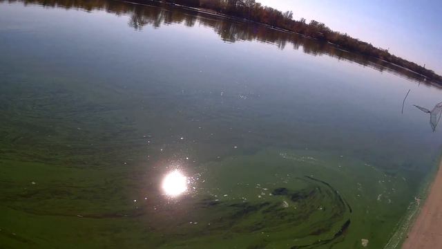 Рыбалка на Дону/Осенний Донской карась и рыбец смотреть онлайн