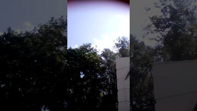 С ПЕРВЫМ ДНЕМ ЛЕТА!!!!