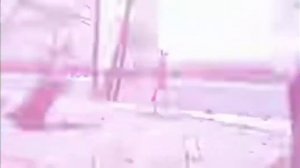 песня сиреноголового по имени Сергей