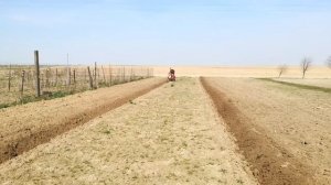 СУПЕР Минитрактор из мотоблока мтз