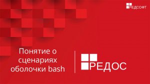 Понятие о сценариях оболочки bash