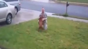 Встреча с животными после разлуки .