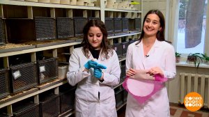 Российская наука: опережая время! Доброе утро. Фрагмент выпуска от 08.02.2024