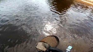 Поиск золота на пляжах Нижнего Новгорода, Удача на первой минуте! АААА Золотооооо (1)