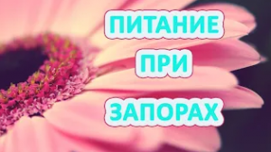 Диета при запорах Лечебный стол 3 по Певзнеру при запорах