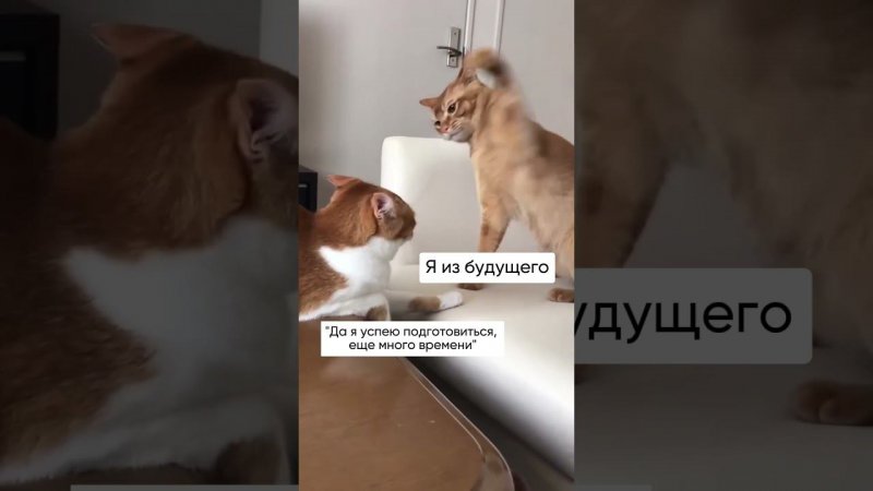 Хочешь бесплатно подготовиться к ЕГЭ на 85+ баллов?  Пиши ЕГЭ нашему боту - ссылка в описании